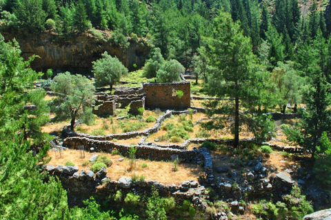 Desde Heraklion: excursión de un día a la garganta de Samaria y Agia Roumeli