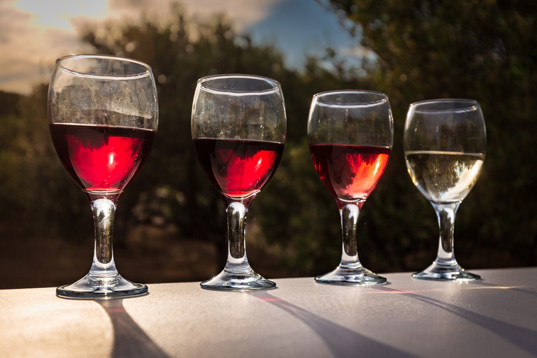 Mykonos: esperienza nei vigneti della cantina con degustazione di cibo e vino