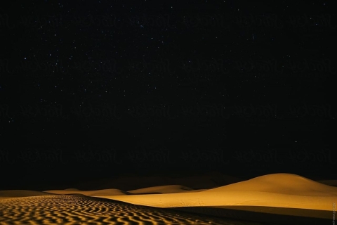Doha: nocne safari na pustyni, morze śródlądowe i przejażdżka na wielbłądachOpcja standardowa