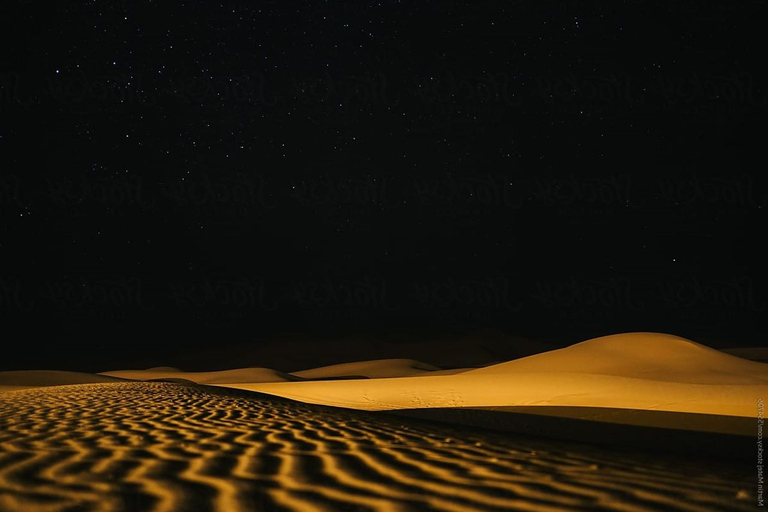 Doha: Night desert safari sea line, inland sea & camel ride Standard Option