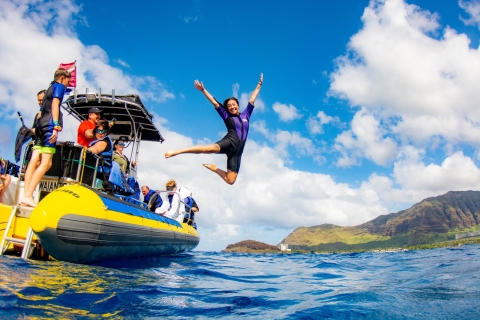 Oahu : excursion de snorkeling avec les dauphins et les tortues à Waianae