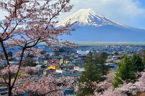 Mount Fuji Full-Day Private Tour from Yokohama Customizable