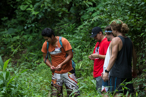 Chiang Mai: Rafting en eaux vives et trekking en cascade