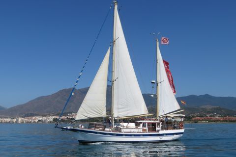 Estepona: Dolphin Watching Sailboat Cruise with Drink