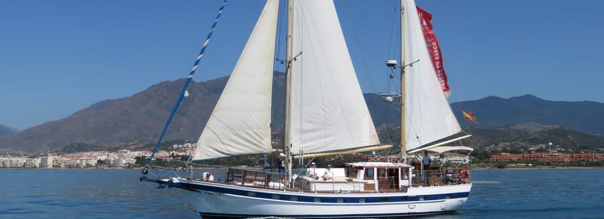 Estepona : croisière d'observation des dauphins avec boisson