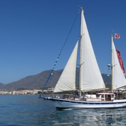 Estepona: Delfinbeobachtung per Segelboot mit Getränk