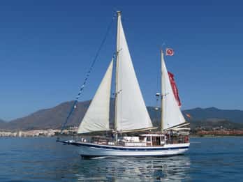 Estepona: Delfinsafari seilbåtcruise med drikke