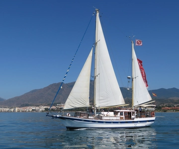Estepona: velero de avistamiento de delfines con bebida
