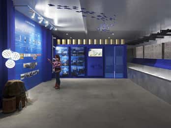 L'Escala: Entrada y Degustación Fábrica-Museo de Anchoas SOLÉS