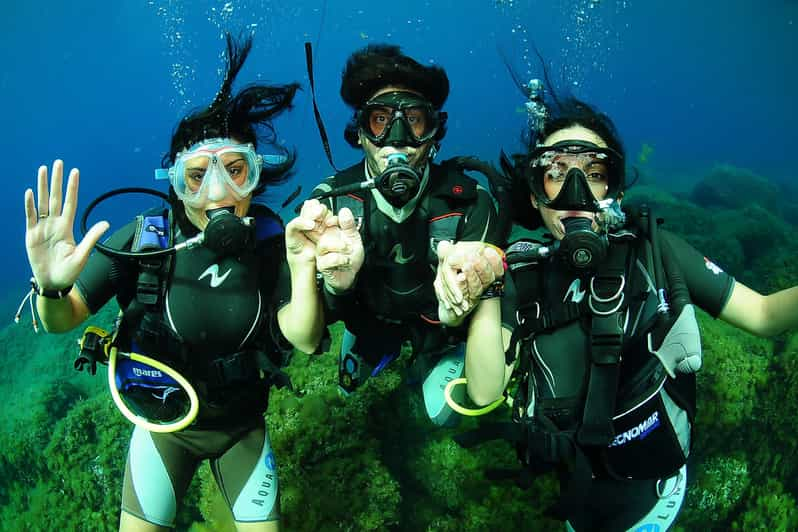 Buceo en Ibiza para principiantes y snorkel | GetYourGuide