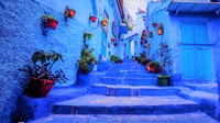 De Rabat, Faits saillants Voyage d'une journée à Chefchaouen - Hizvo