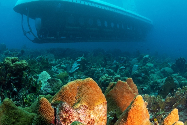 De Bridgetown: visite panoramique en bateau et sous-marin