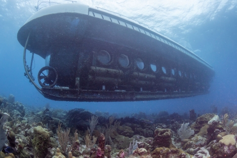De Bridgetown: visite panoramique en bateau et sous-marin