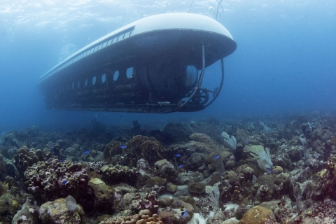 Desde Bridgetown: recorrido panorámico en barco y submarino