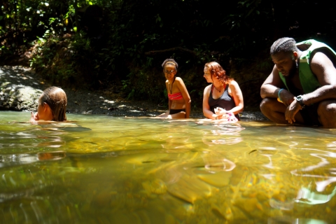 Réserve de la forêt tropicale de San Cipriano : Une incroyable excursion d'une journée