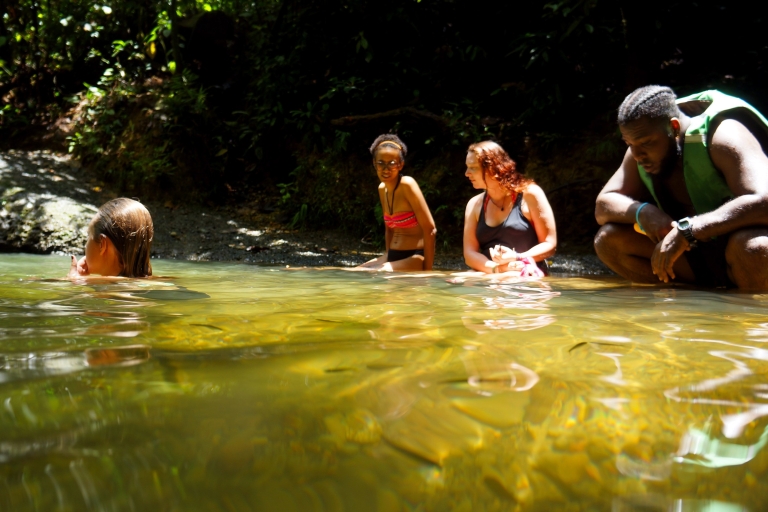 Réserve de la forêt tropicale de San Cipriano : Une incroyable excursion d'une journée