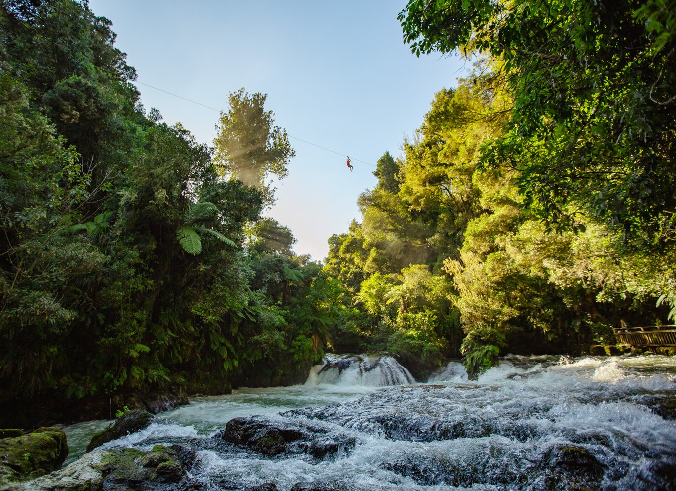 Okere Falls: Zipline over vandfald: Oplevelse