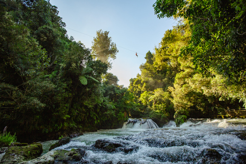 Okere Falls: Zipline nad wodospadami