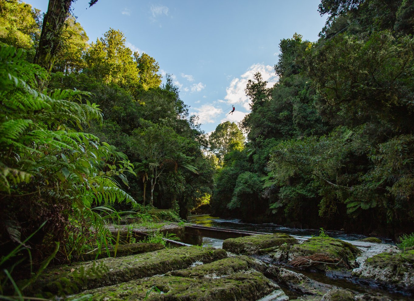 Okere Falls: Zipline over vandfald: Oplevelse