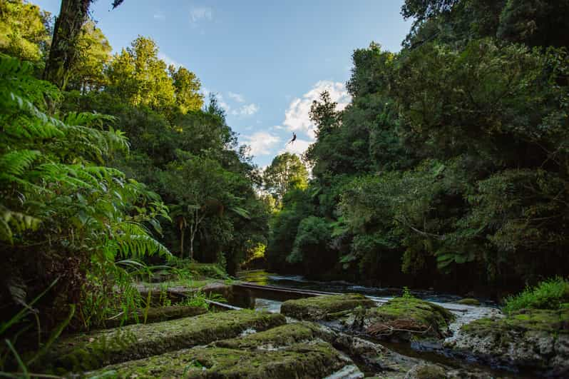 Okere Falls: Zipline over Waterfalls Experience | GetYourGuide