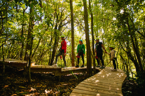 Okere Falls: Zipline nad wodospadami