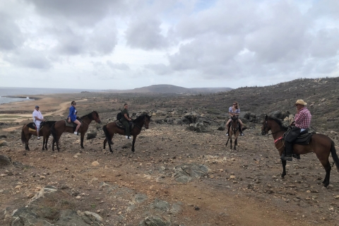 Aruba: Horseback Ride Tour to Wariruri Beach