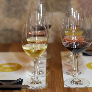 Rodi: esperienza di degustazione di vini privata per principianti
