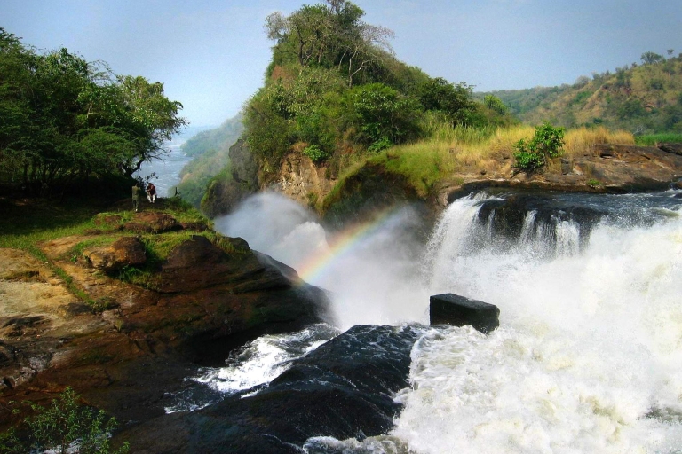 Ab Kampala: 3-tägige Murchison Falls Safari mit Transfer
