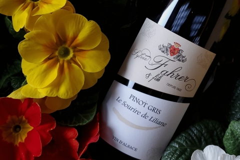 Alsace : visite de vignobles avec dégustation de vins et accords mets-vinsVisite en français