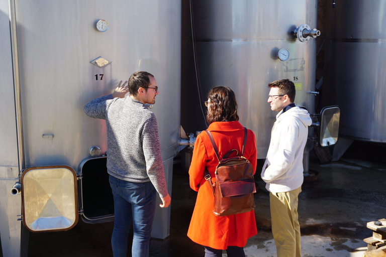 From Valencia: Tour and Tasting at 2 Utiel-Requena Wineries