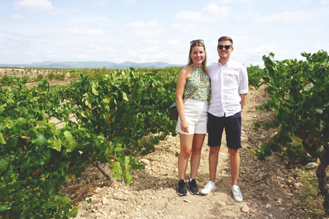 From Valencia: Tour and Tasting at 2 Utiel-Requena Wineries