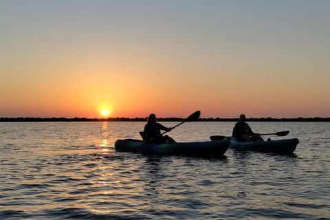 St. Augustine: Kayaking Sunrise Tour
