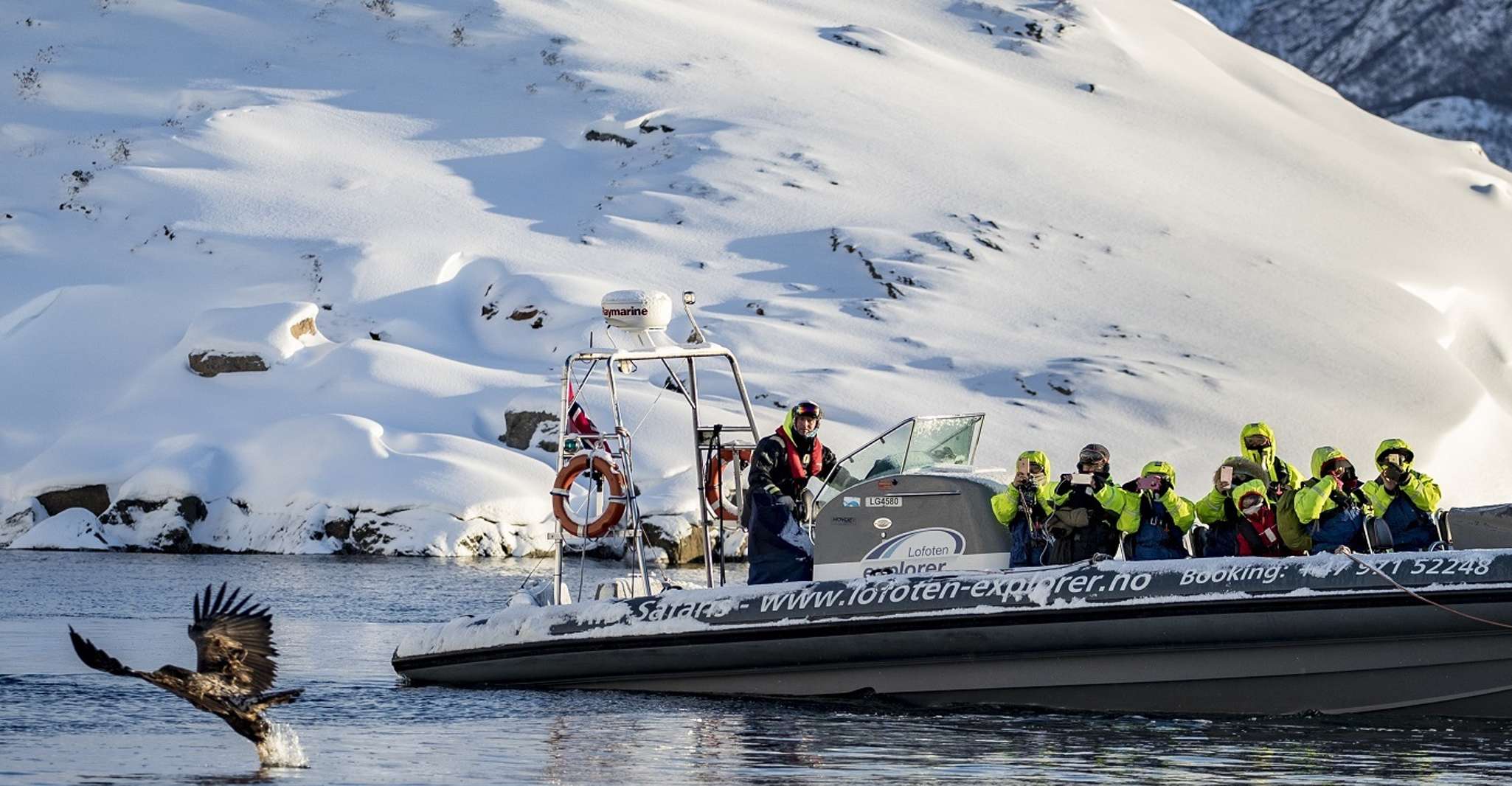 من Svolvaer, Trollfjourden الحياة البرية RIB - Hizvo