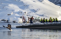 De Svolvaer, Trollfjorden Wildlife RIB Cruise - Hizvo