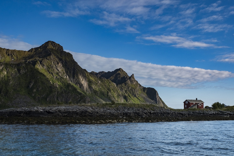 From Svolvaer: Trollfjorden Wildlife RIB Cruise