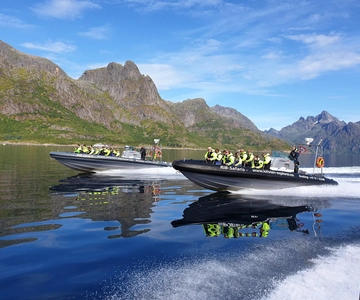 From Svolvaer: Trollfjorden Wildlife RIB Cruise