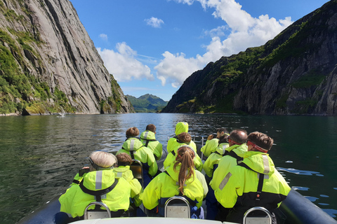 Au départ de Svolvaer : Croisière en semi-rigide à la découverte de la faune et de la flore de TrollfjordenAu départ de Svolvaer : croisière en semi-rigide sur la faune du Tr