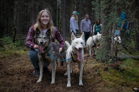Fairbanks: Paseo en carro de verano y visita a la perreraFairbanks, Alaska: Paseo en carro de verano y visita a la perrera