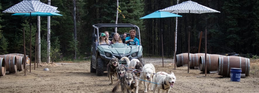 Fairbanks, Alaska: Summer Mushing Cart Ride and Kennel Tour
