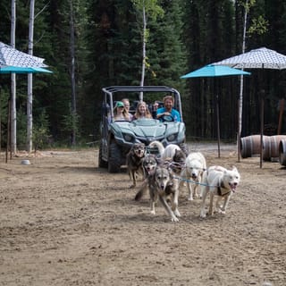 Fairbanks, Alaska: Summer Mushing Cart Ride and Kennel Tour