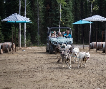 Fairbanks Must Do: Summer Mushing Cart Ride and Kennel Tour