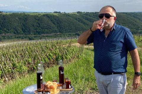 DUO PAIS CRIANÇAS VINHO CÔTE-RÔTIE TOUR VISITA