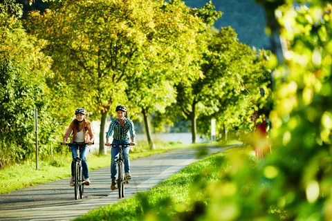 Cochem, Mosel: Fahrrad-Picknick-Schifftour mit Weinprobe