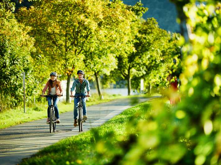 Mosel: Bike and Boat Tour with Picnic and Wine Tasting