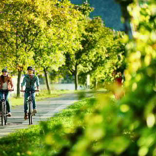 Mosel: Bike and Boat Tour with Picnic and Wine Tasting