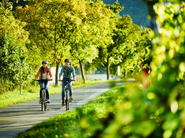Visit Mosel Bike and Boat Tour with Picnic and Wine Tasting in Nürburgring