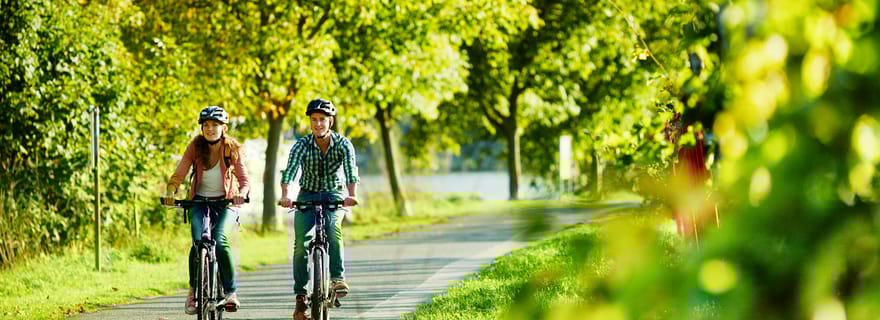 Cochem : Visite en vélo et en bateau avec pique-nique et dégustation de vin