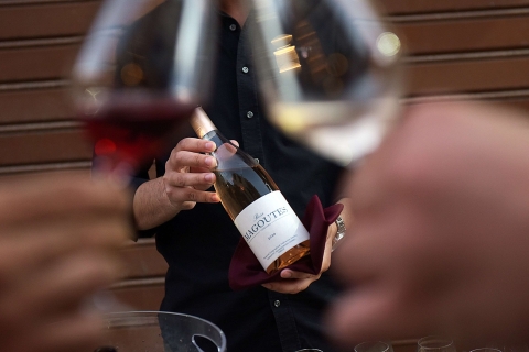 Rodas: cata de vinos privada para expertosCata de Vinos para Expertos