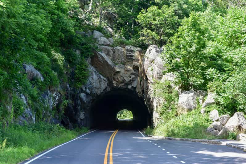 30+ National Parks SelfGuided Driving Tours Bundle GetYourGuide