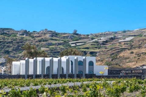Santorin: Geführte Weintour mit Abholung und SnacksGruppenreise